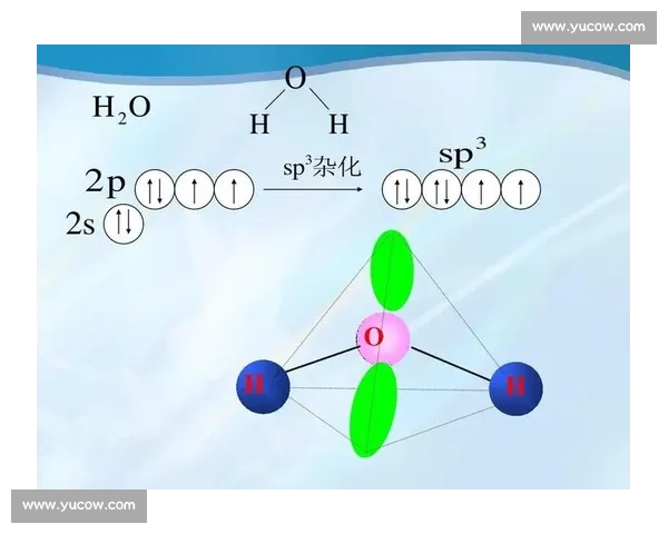 新时代背景下男女混合赛事发展趋势与竞技魅力探索及社会影响研究 - 副本 - 副本