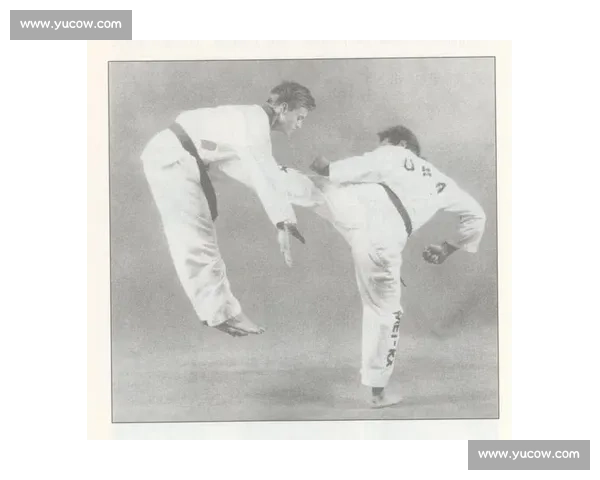 激烈对决见证实力跆拳道赛况全面解析与焦点回顾精彩瞬间与战术博弈深度盘点 - 副本 (2)