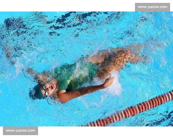 科学系统的铁人三项训练计划与体能提升指南全面策略解析实战经验 - 副本 - 副本