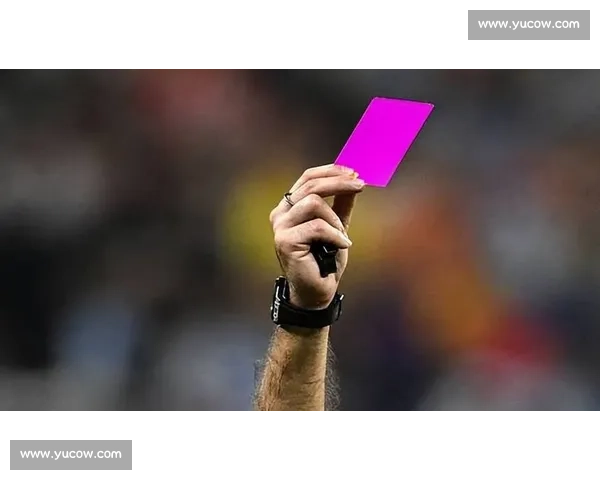 红黄牌制度对足球比赛公平性和竞技性影响的深入分析与探讨