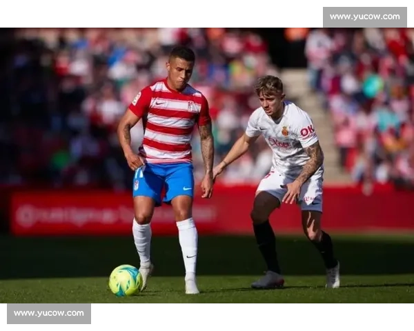 联赛走势风云变幻背后的格局重塑与冠军悬念解析及争冠保级形势透视 联赛走势风云变幻背后的格局重塑与冠军悬念解析及争冠保级形势透视